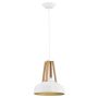 Lampă cu pendul DROP 60292 1x60W/E27 de la Alfa