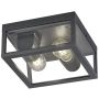 Lampă de tavan GARONNE 601860242 2x10w/e27 ip44 de la Trio
