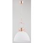Lampă cu pendul INEZ 60402 1x15W/E27 de la Alfa