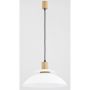 Lampă cu pendul TROPIC 60356 1x60W/E27 de la Alfa