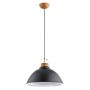 Lampă cu pendul ALTI 61262 1x15W/E27 IP20 de la Alfa