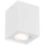 Lumină montată pe suprafață BISCUIT 613000131 1x35w/gu10 ip20 de la Trio
