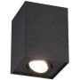 Lumină montată pe suprafață BISCUIT 613000132 1x35w/gu10 ip20 de la Trio