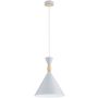 Lampă cu pendul FERYT 61597 1x15W/E27 de la Alfa