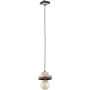 Lampă cu pendul LARSO 61540 1x15W/E27 de la Alfa