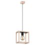 Lampă cu pendul PAKO 61165 1x60W/E27 IP20 de la Alfa