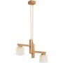 Lampă cu pendul DILARA 62593 2x10W/E14 de la Alfa