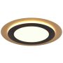 Lampă de tavan MORGAN 641519280 2700-6500k 1x42w/led 5600lm ip20 de la Trio