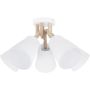 Lampă de tavan VAIO 666 5x60W/E27 de la TK Lighting