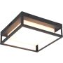 Lampă de tavan WITHAM 677860142 2300+3000+4000k 1x14w/led 1550lm ip54 de la Trio