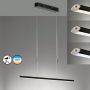 Lampă cu pendul Beat TW 60548 2700K 1x34W/LED 4100 lm IP20 de la Fischer&Honsel