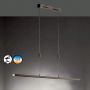 Lampă cu pendul Beat TW 60549 2700K 1x41W/LED 4500 lm IP20 de la Fischer&Honsel
