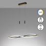Lampă cu pendul Torcido 61018 2700K 1x27W/LED 3200 lm IP20 de la Fischer&Honsel