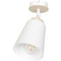 Spot ATLAS 724/1 1x60W/E27 IP20 de la Emibig