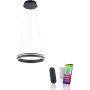 Lampă cu pendul Q-VITO 8410-13 2700-5000k 1x33W/LED 3250lm ip20 de la Paul Neuhaus