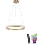 Lampă cu pendul Q-VITO 8411-60 2700-5000k 1x44W/LED 4550lm ip20 de la Paul Neuhaus