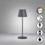 Lampă de masă Cosenza 850336 RGBW 2x2W/LED 180lm IP44 de la Fischer&Honsel