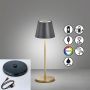 Lampă de masă Cosenza 850338 RGBW 2x2W/LED 180lm IP44 de la Fischer&Honsel