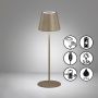 Lampă de masă Cosenza 850353 RGBW 2x2W/LED 270lm IP44 de la Fischer&Honsel