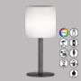 Lampă de masă Lesina 850325 RGBW 2x0.5W/LED 40lm IP44 de la Fischer&Honsel