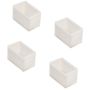 Capac NEON ECLS08-09 de la Zambelis