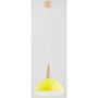 Lampă cu pendul ANJA 9633 1x60W/E27 de la Alfa