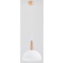 Lampă cu pendul FOTYN 9725 1x60W/E27 IP20 de la Alfa