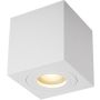 Lumină montată pe suprafață QUARDIP ACGU10-160 1x50W/GU10 IP44 de la Zuma Line