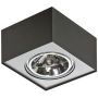 Lumină montată pe suprafață PAULO AZ1258 1x50W/QR111 de la AZzardo