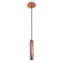 Lampă cu pendul ATHAN FH31141-BJ-RC 1x35W/GU10 de la Italux