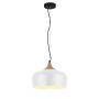 Lampă cu pendul PARMA AZ1330 1x60W/E27 de la AZzardo