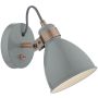 Aplique de perete FREDERICK FRE0739 1x40W/E14 de la Dar Lighting
