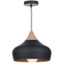 Lampă cu pendul GAUCHO GAU0122 1x60W/E27 de la Dar Lighting