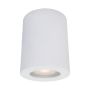 Lumină montată pe suprafață FAUSTO IT8005R1-WH 1x40W/GU10 IP44 de la Italux