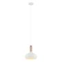 Lampă cu pendul QUESMO MDM-3029/1 W+COP 1x60W/E27 de la Italux