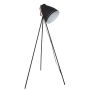Lampă de podea FRANKLIN ML-HN3068-B+RC 1x60W/E27 de la Italux