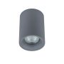 Lumină montată pe suprafață FLYNN TM09080-GR 1x50W/GU10 IP20 de la Italux