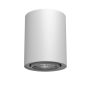 Lumină montată pe suprafață Point 1259 1x10W/GU10 IP20 de la Antigo