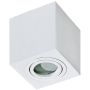 Lumină montată pe suprafață BRANT AZ2822 1x50W/GU10 IP44 de la AZzardo