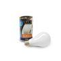 Bec LED0W E27 LL127101 AZ1639 3000K 1x10W/E27 830LM de la AZzardo