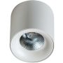 Lumină montată pe suprafață MANE AZ4152 3000K 1x20W/LED IP20 de la AZzardo