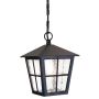 Lampă cu pendul CANTERBURY BL48M-BLACK 1x60W/E27 IP43 de la Elstead Lighting