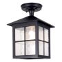 Lustră de tavan WINCHESTER BL18A-BLACK 1x60W/E27 IP43 de la Elstead Lighting