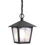Lampă cu pendul YORK BL6B-BLACK 1x60W/E27 IP43 de la Elstead Lighting