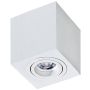 Lumină montată pe suprafață BRANT AZ2824 1x50W/GU10 IP20 de la AZzardo