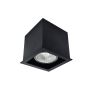 Lumină montată pe suprafață Cage 1078 1x10W/GU10 IP20 de la Antigo