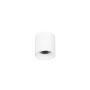 Lumină montată pe suprafață ALTISMA CLN-6677-75-WH-4K 4000k 1x10W/LED 1100LM IP20 de la Italux