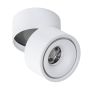 Spot COSTA AZ2856 3000K 1x12W/LED 885LM IP20 de la AZzardo