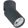 Lumină montată pe suprafață CEILING SPOT S124 1x40w/GU10 IP20 de la Zambelis