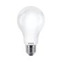Bec BULB EKZPH616 6500K 1x17.5W/E27 2452LM de la Eko-Light